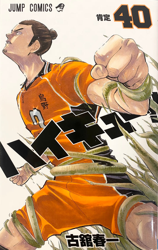 Haikyuu! Vol.40-Official Japanese Edition