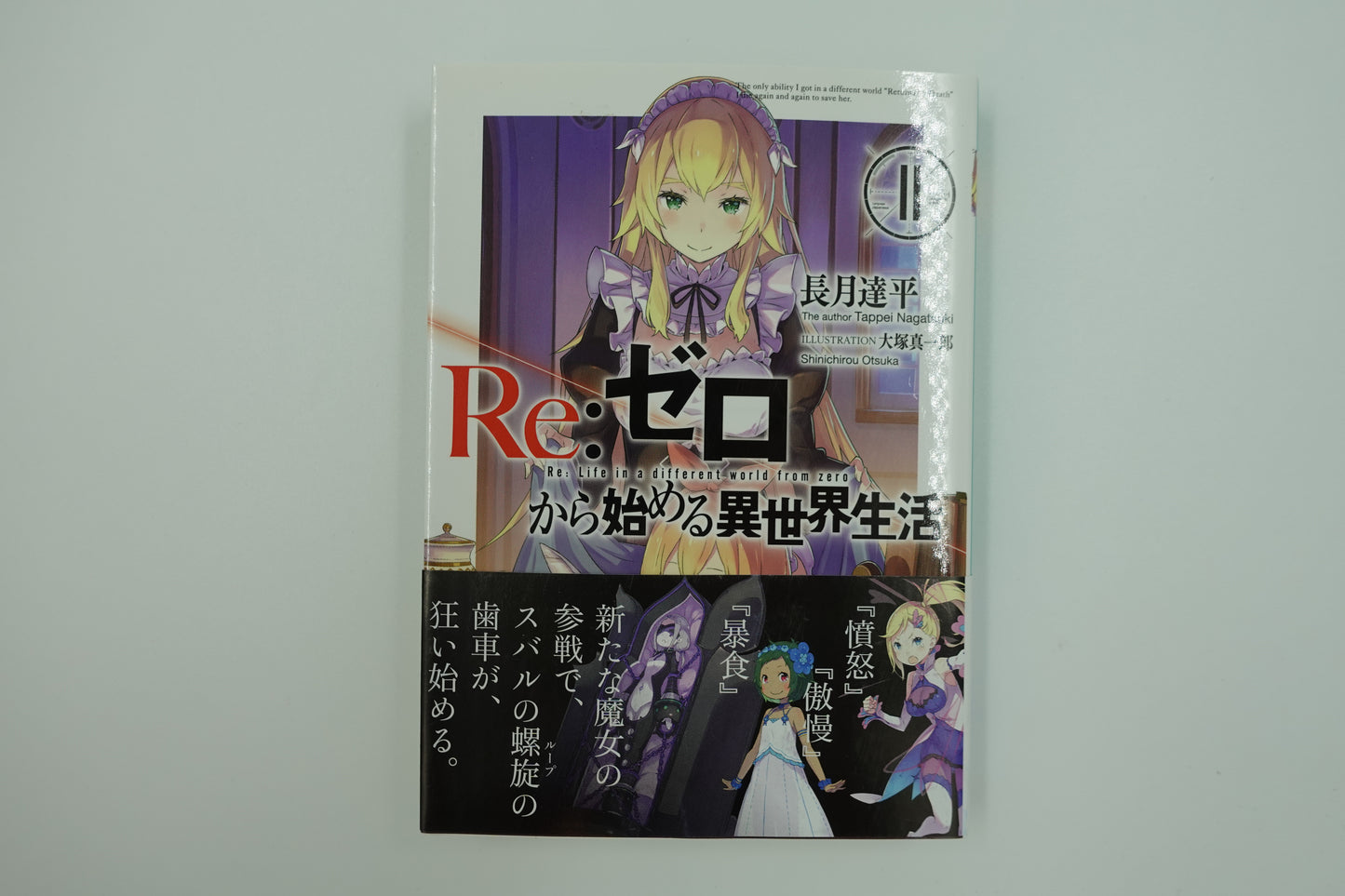 Re: Life in a Different World From Zero Vol.11-Official Japanese Edition