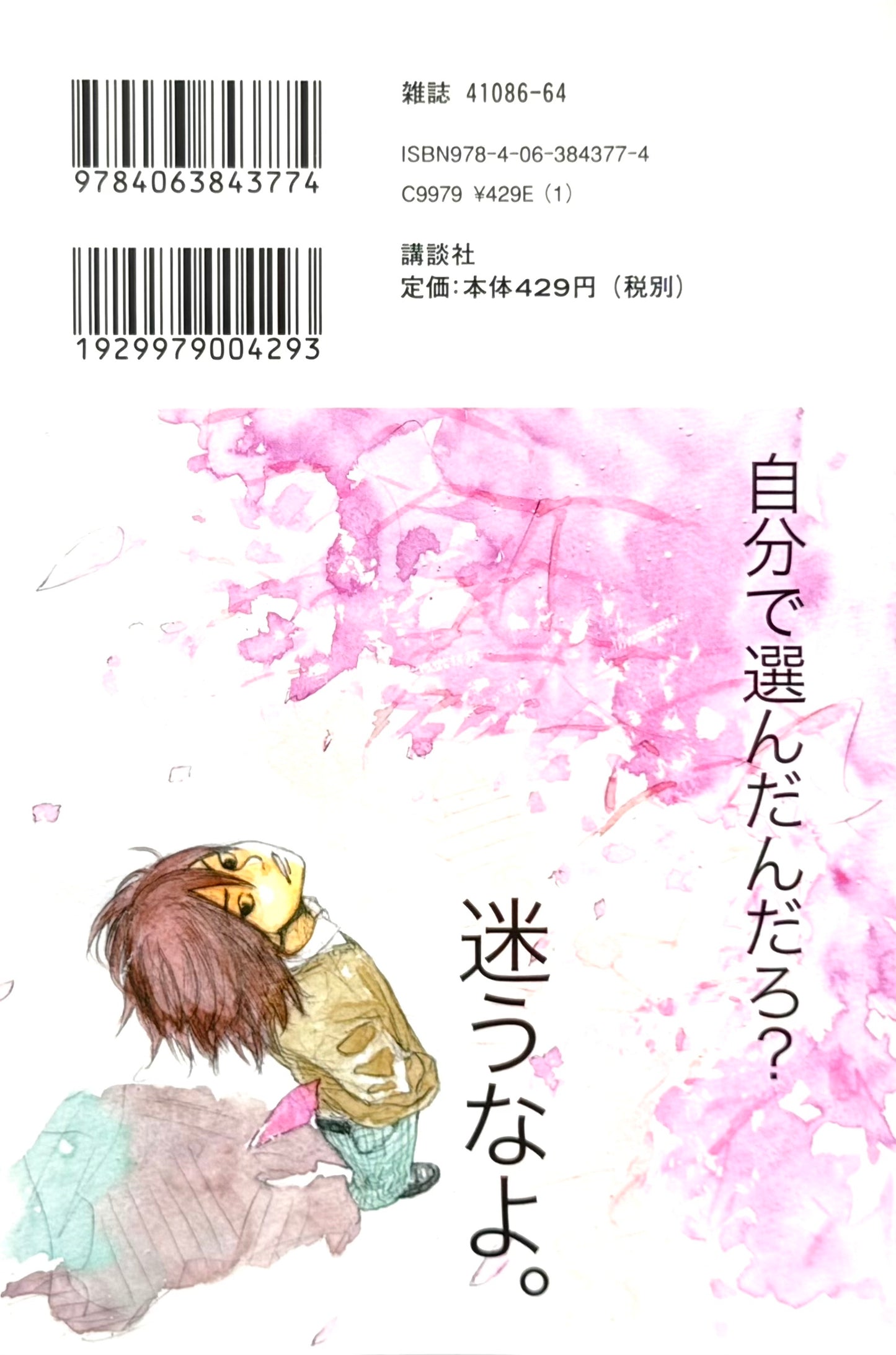 Ahiru no Sora Vol.29-Official Japanese Edition
