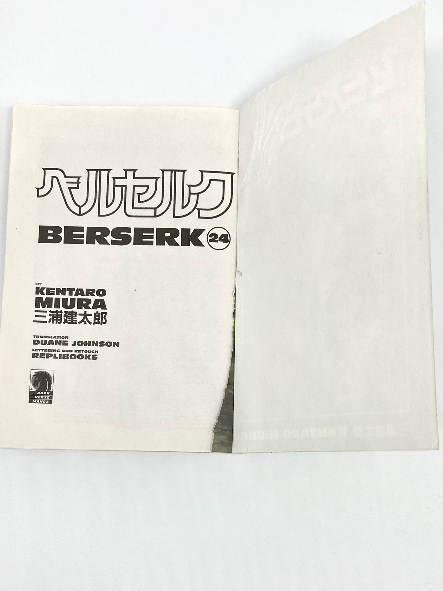 Defective Product BERSERK Vol.24-English Edition