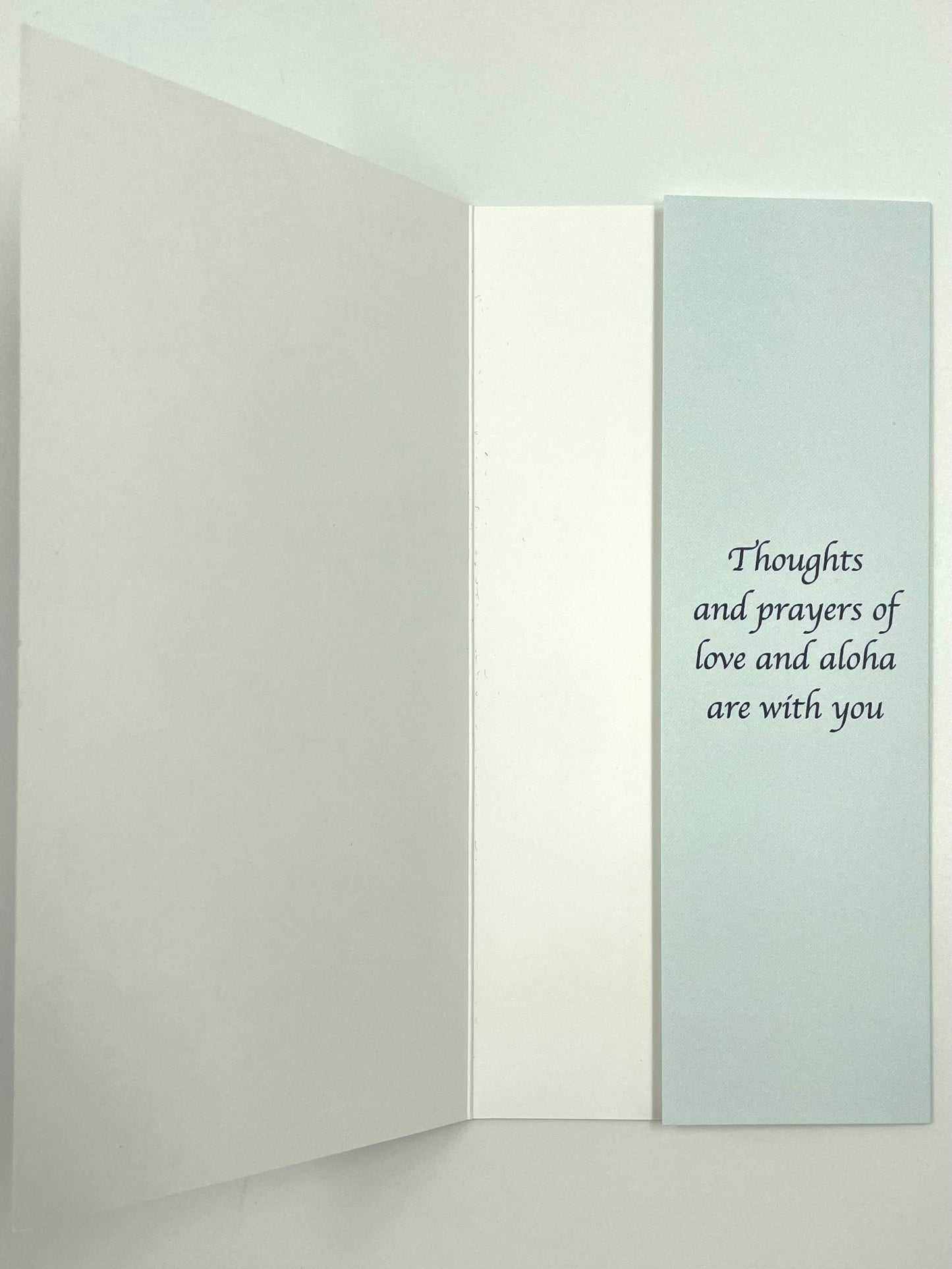 Jon J. Murakami Greeting Card 2