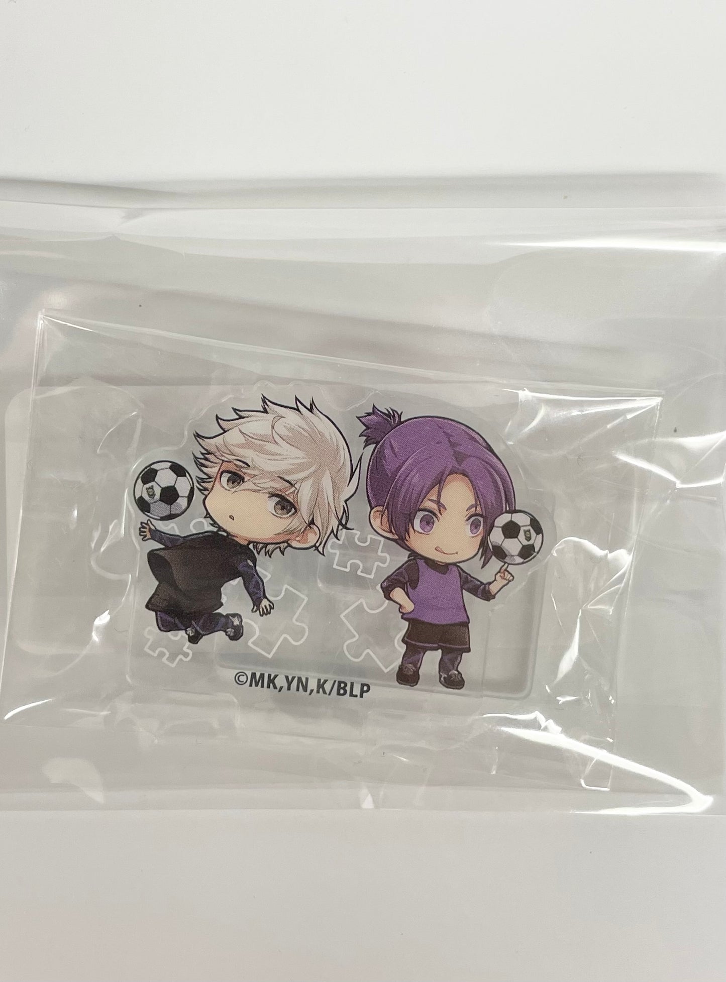 AcrylicStandMikagenagi