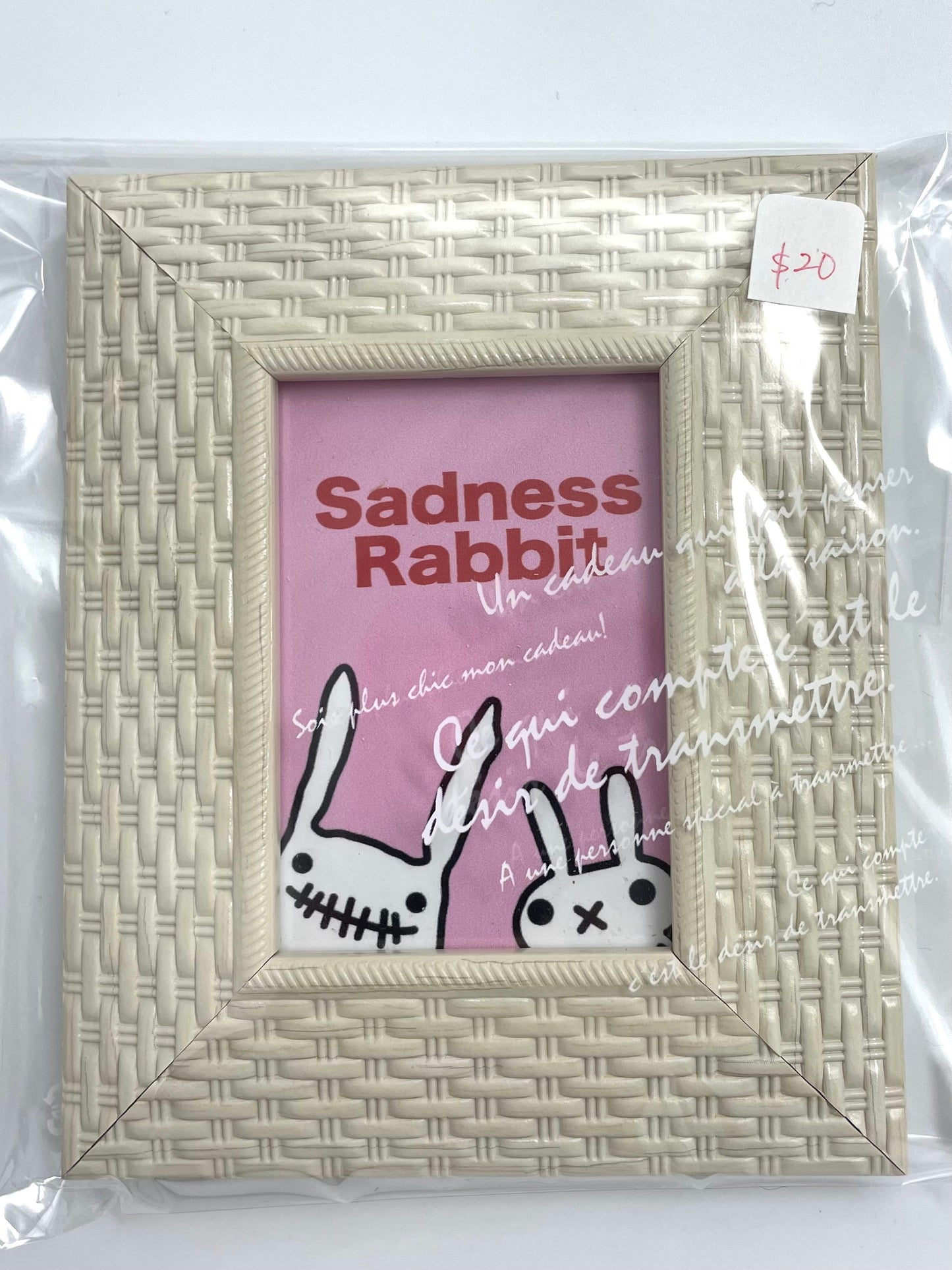 Sadness Rabbit: Mini Art Print with Picture Frame