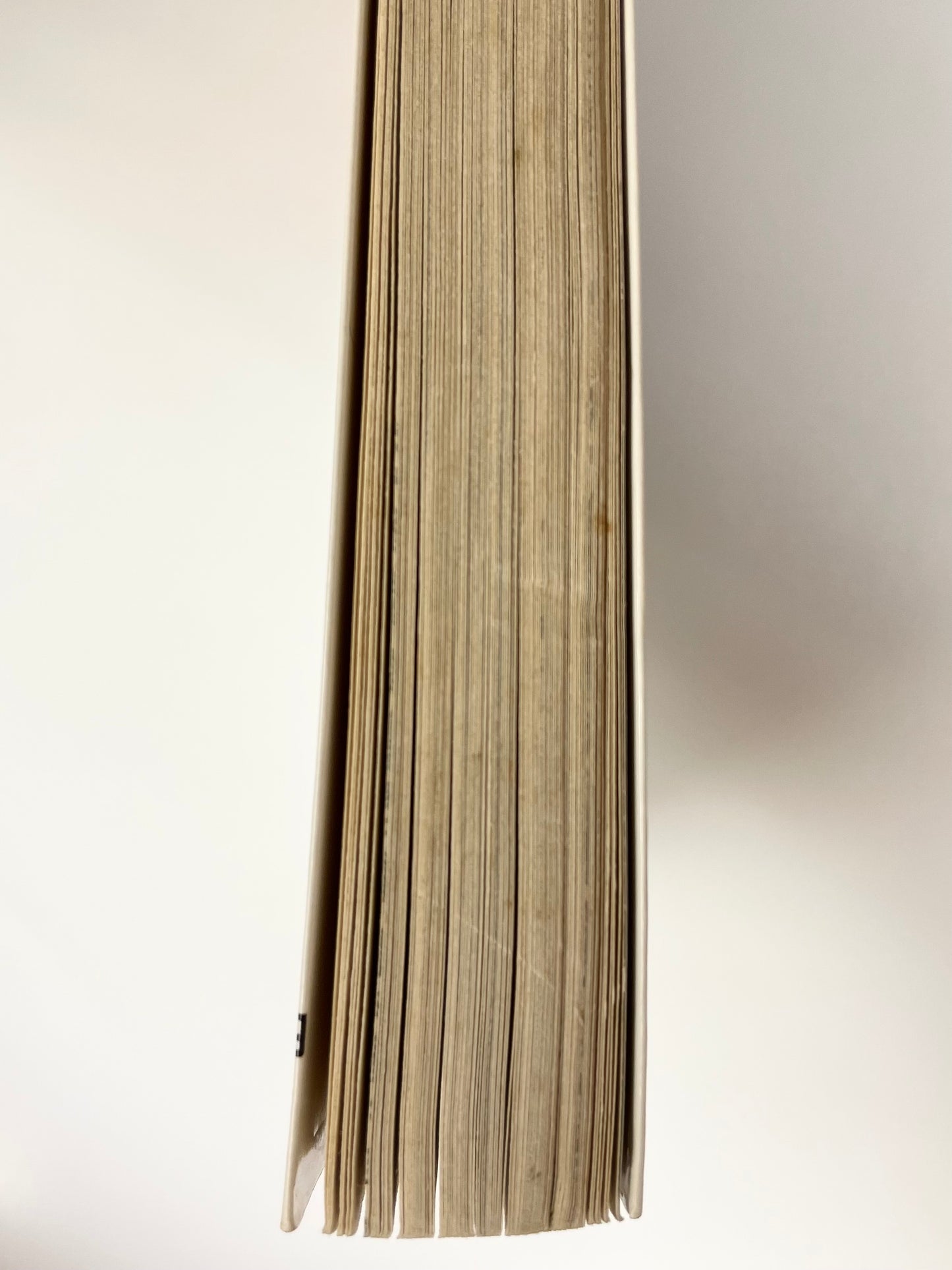 Oishinbo VOl.13-Official Japanese Edition