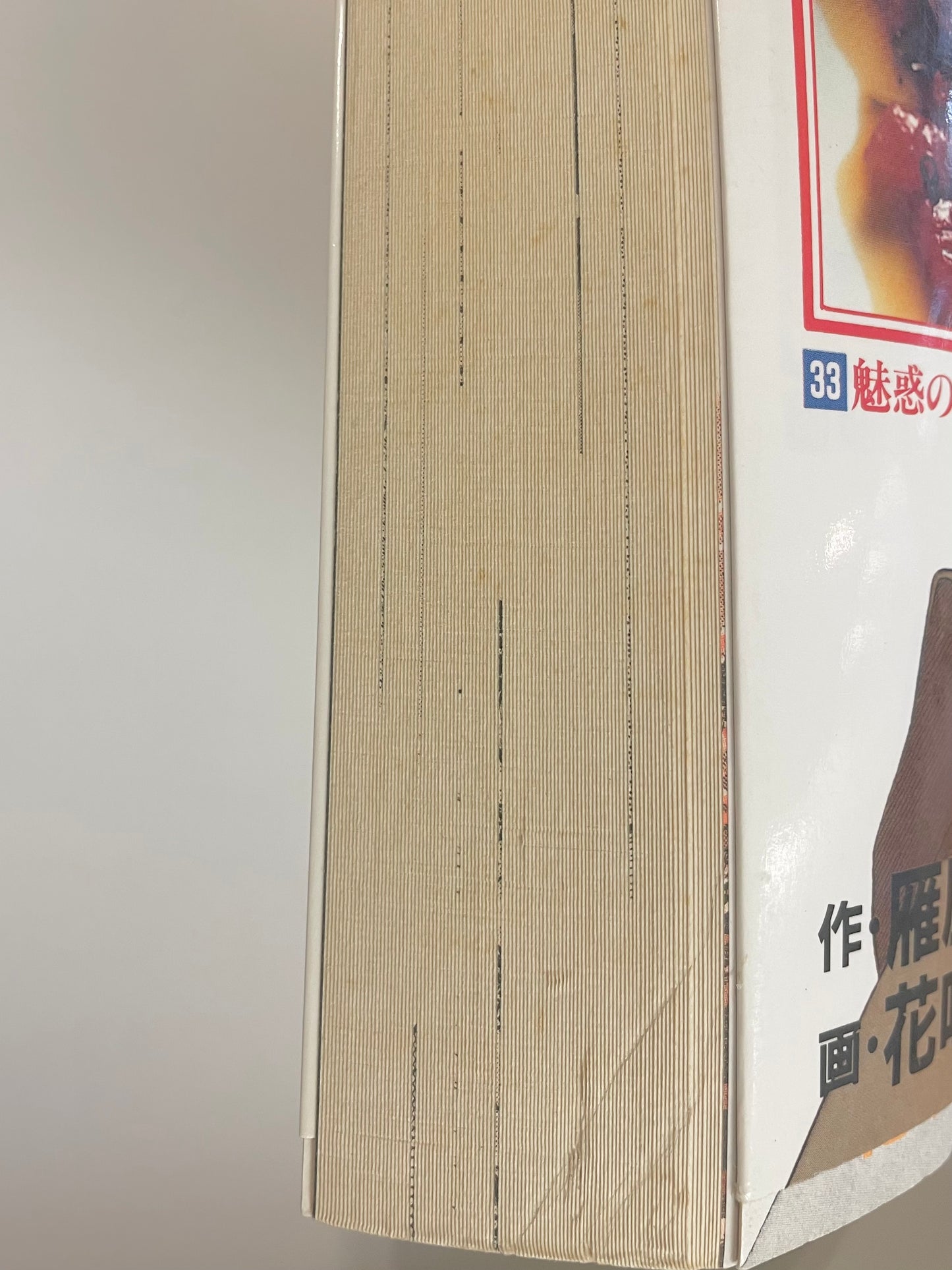 Oishinbo VOl.33-Official Japanese Edition