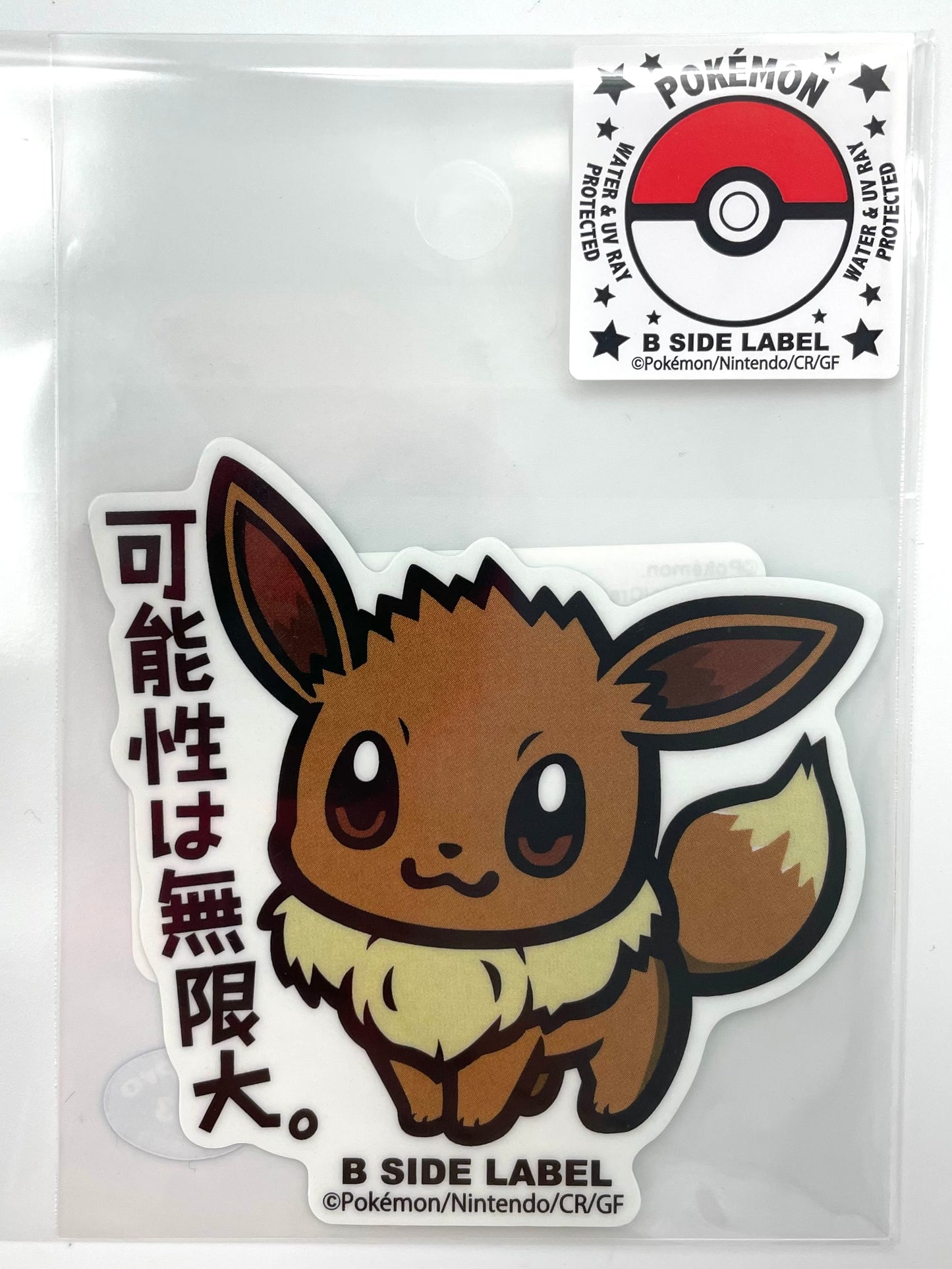 Pokémon Items