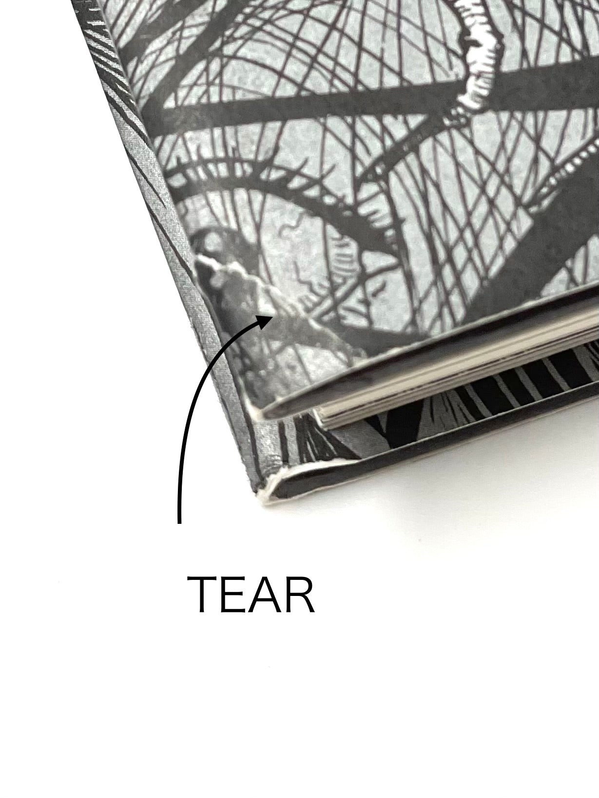 Twisted Vision-English Edition