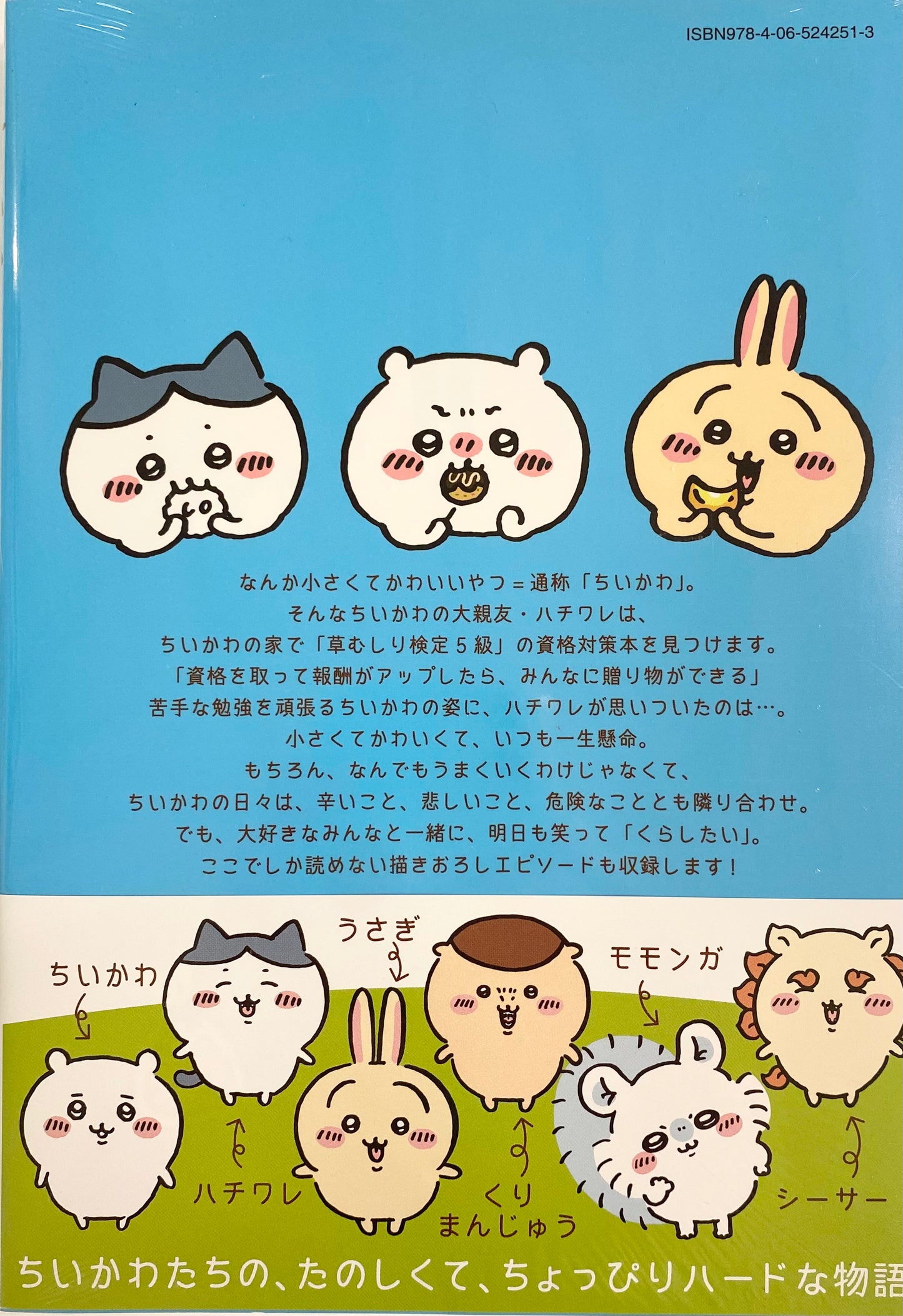 ChiiKawa-Nanka Chiisakute Kawaii Yatsu Vol.2_NEW-Official Japanese Edition