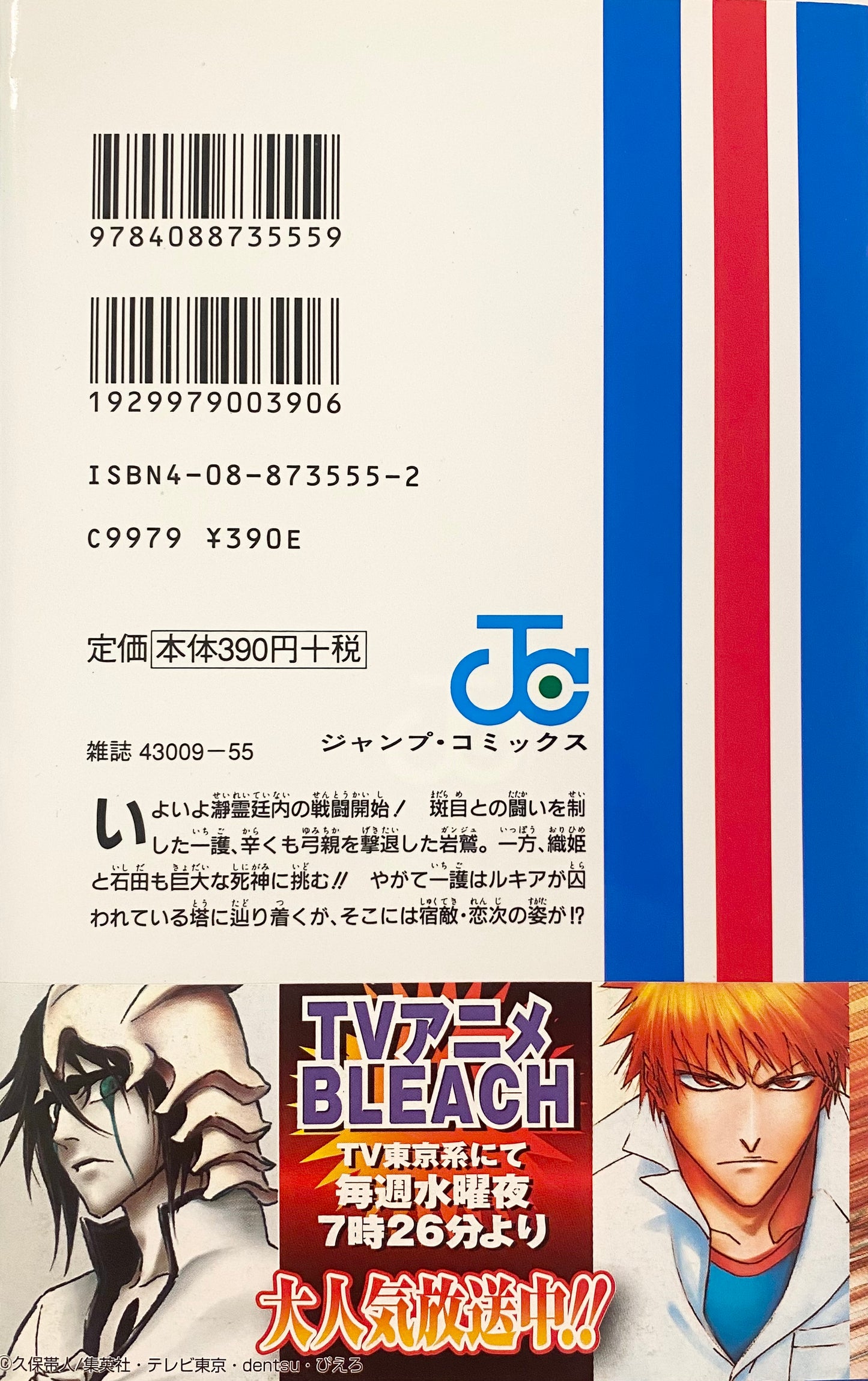 Bleach Vol.11-Official Japanese Edition