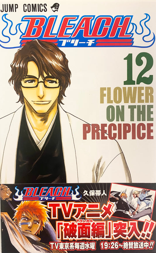 Bleach Vol.12-Official Japanese Edition