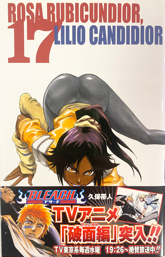 Bleach Vol.17-Official Japanese Edition