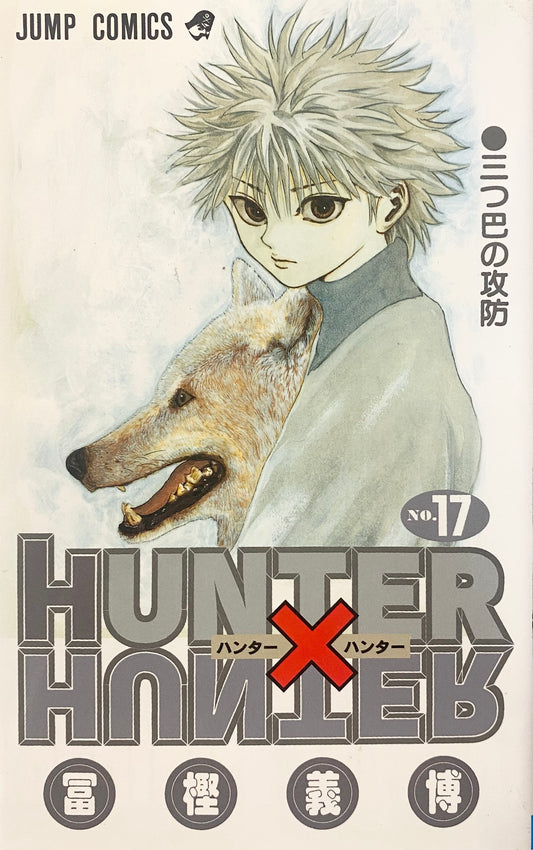 Hunter x Hunter Vol.17-Official Japanese Edition