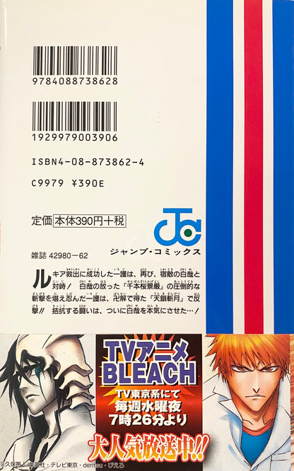 Bleach Vol.19-Official Japanese Edition