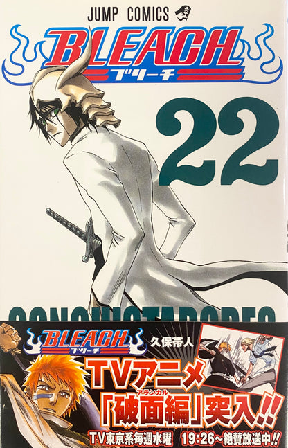 Bleach Vol.22-Official Japanese Edition