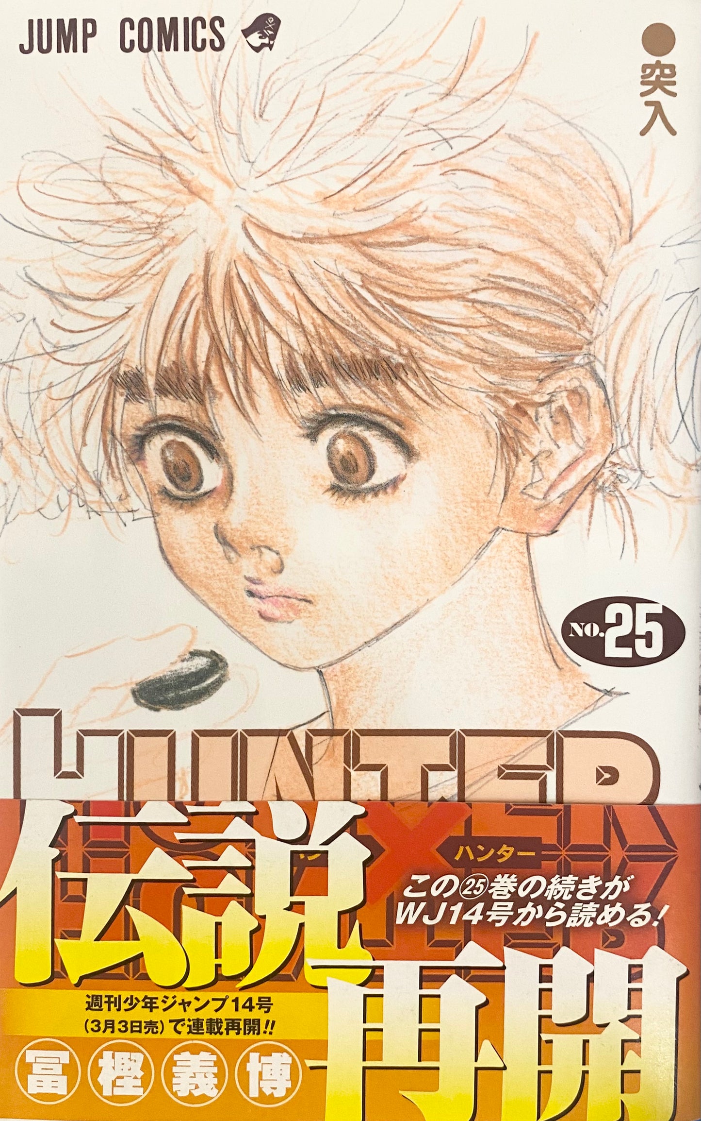 Hunter x Hunter Vol.25-Official Japanese Edition