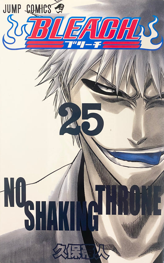 Bleach Vol.25-Official Japanese Edition