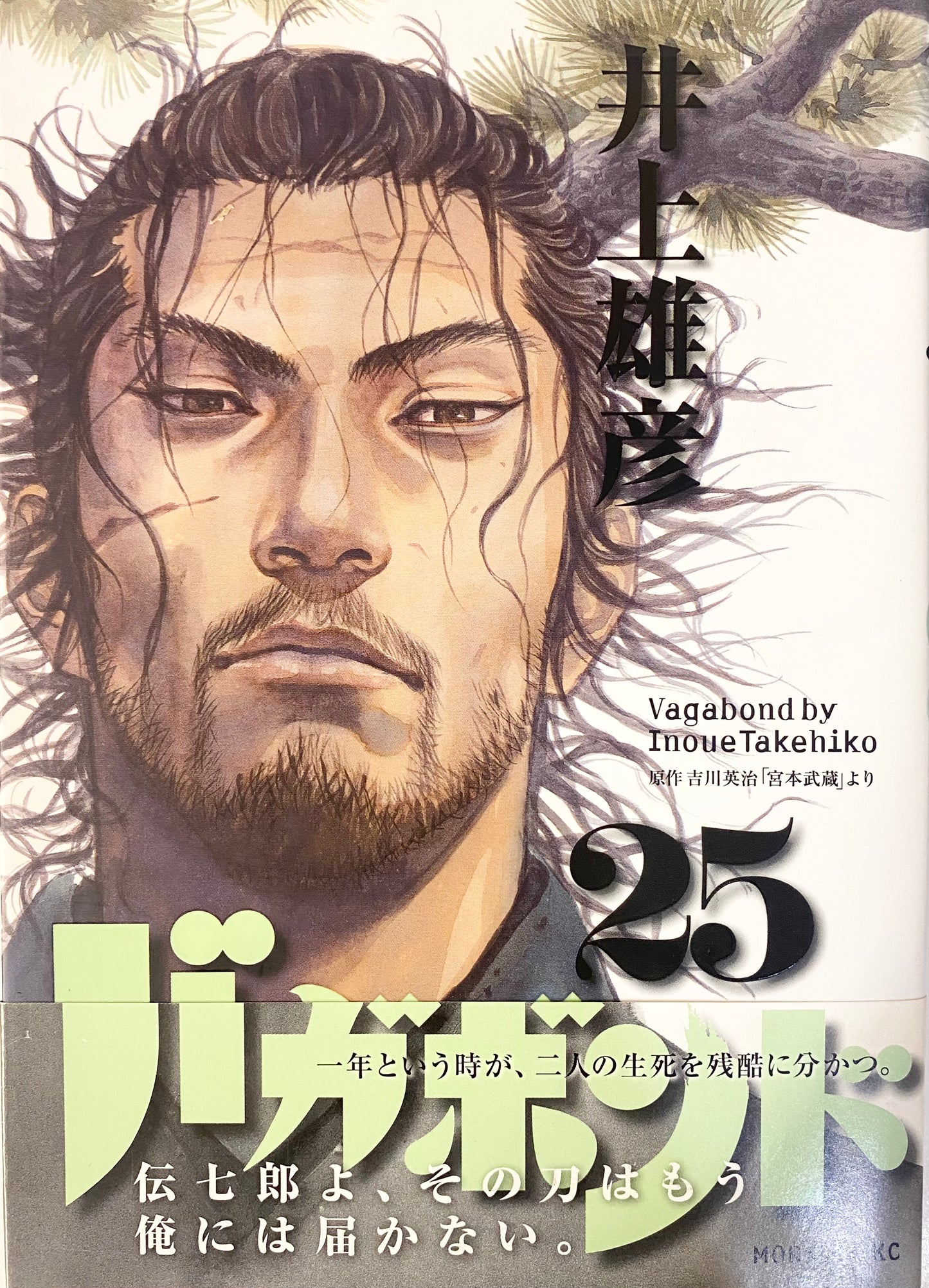 Vagabond Vol.25-Official Japanese Edition