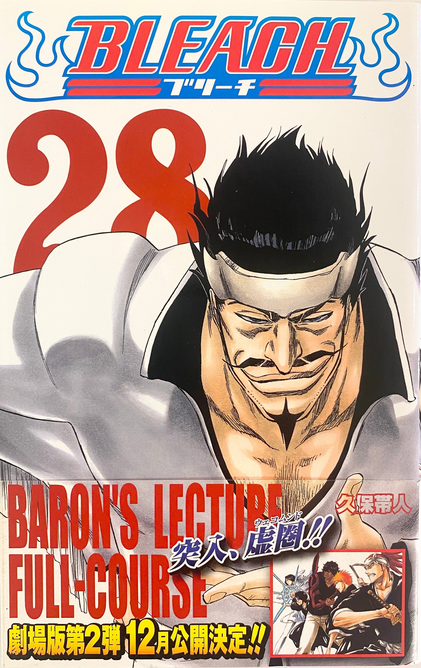 Bleach Vol.28-Official Japanese Edition