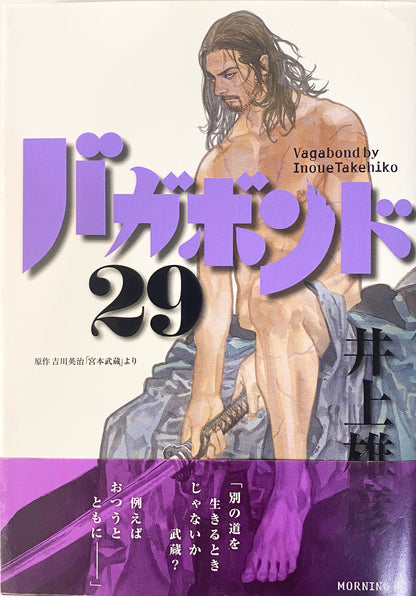 Vagabond Vol.29-Official Japanese Edition