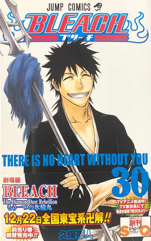 Bleach Vol.30-Official Japanese Edition