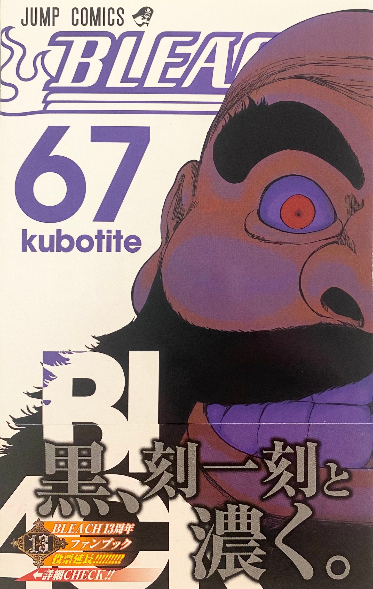 Bleach Vol.67-Official Japanese Edition