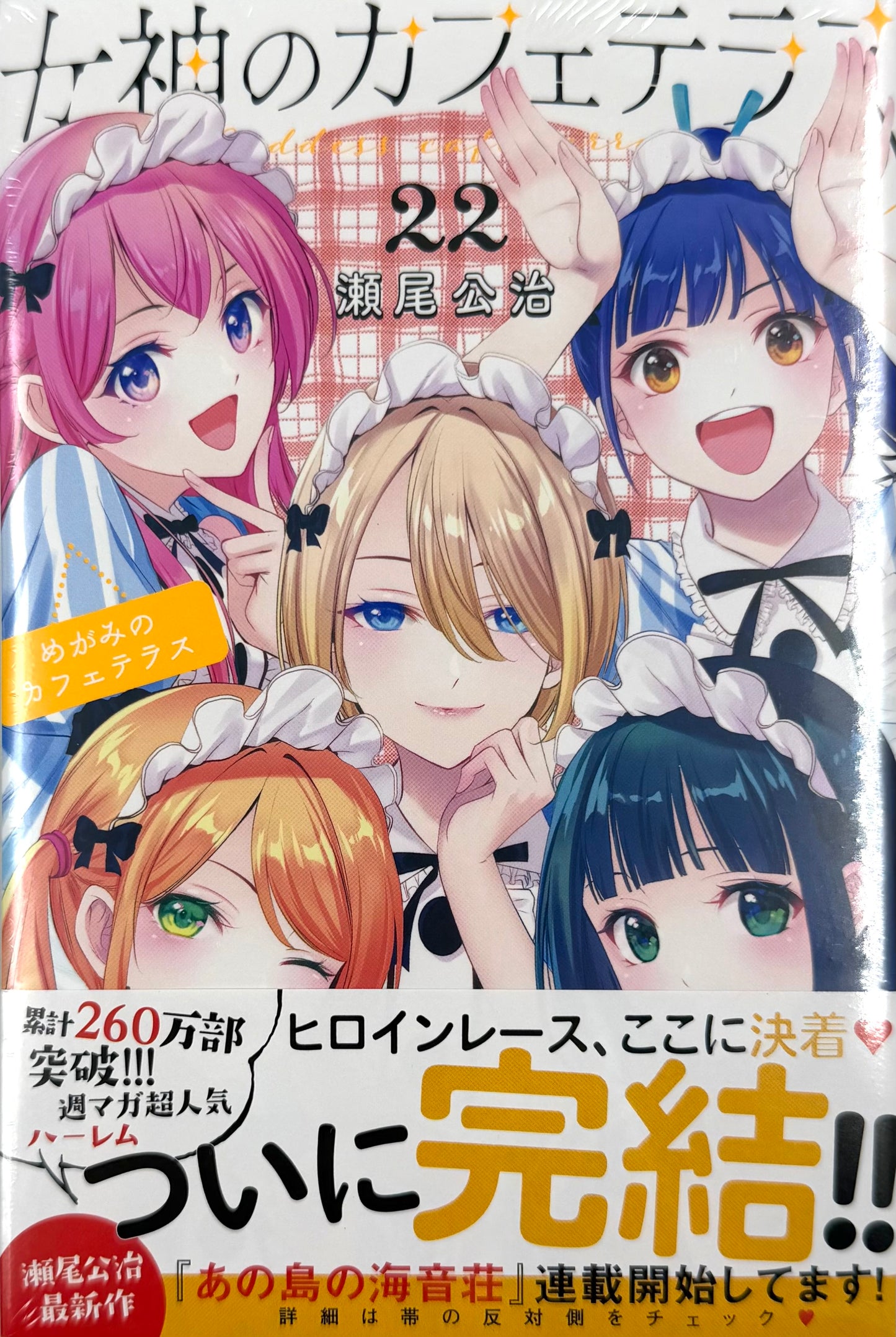 The Cafe Terrace and Its Goddesses Vol.22_NEW-Official Japanese Edition