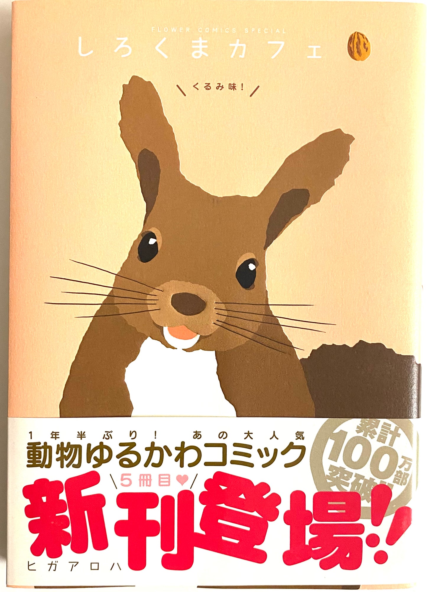 Shirokuma Cafe Vol.5 walnut-Official Japanese Edition