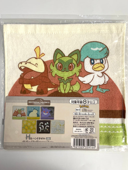 Pokémon wash towel Picnic selection 2023
