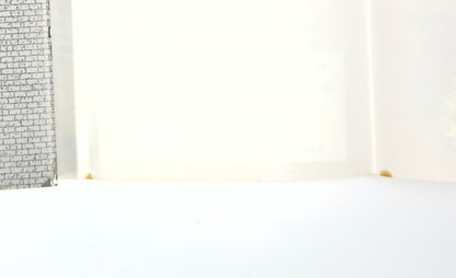 Defected Product Case Closed Vol.65-Official Japanese Edition