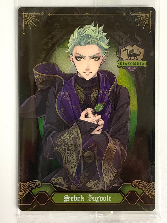 Collectible Card Twisted Wonderland Sebek