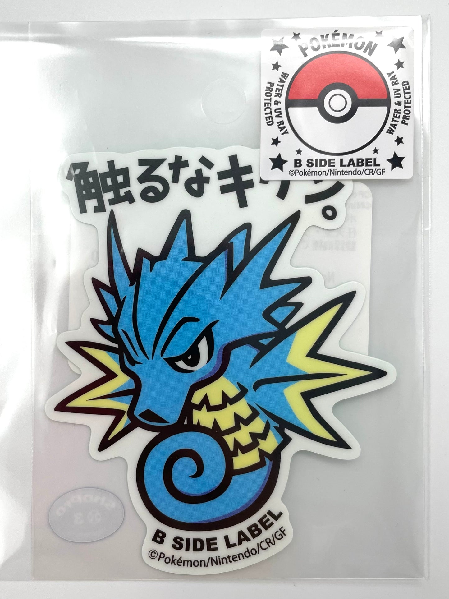 Pokémon Items