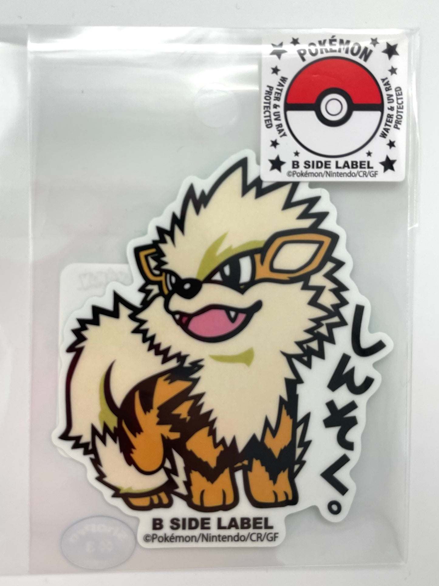 Pokémon Items