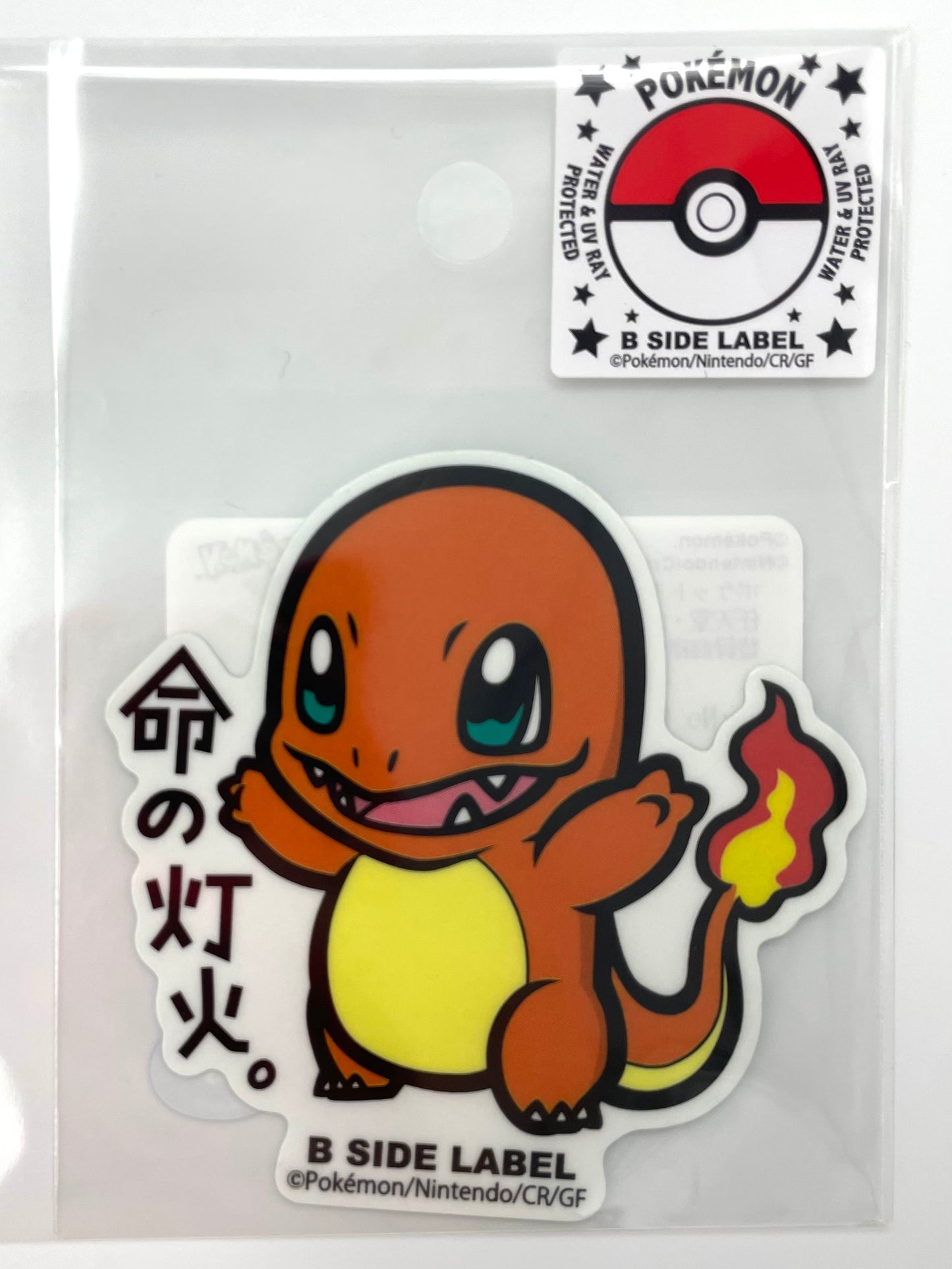 Pokémon Items