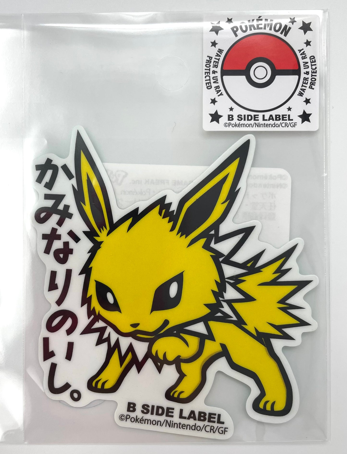 Pokémon Items