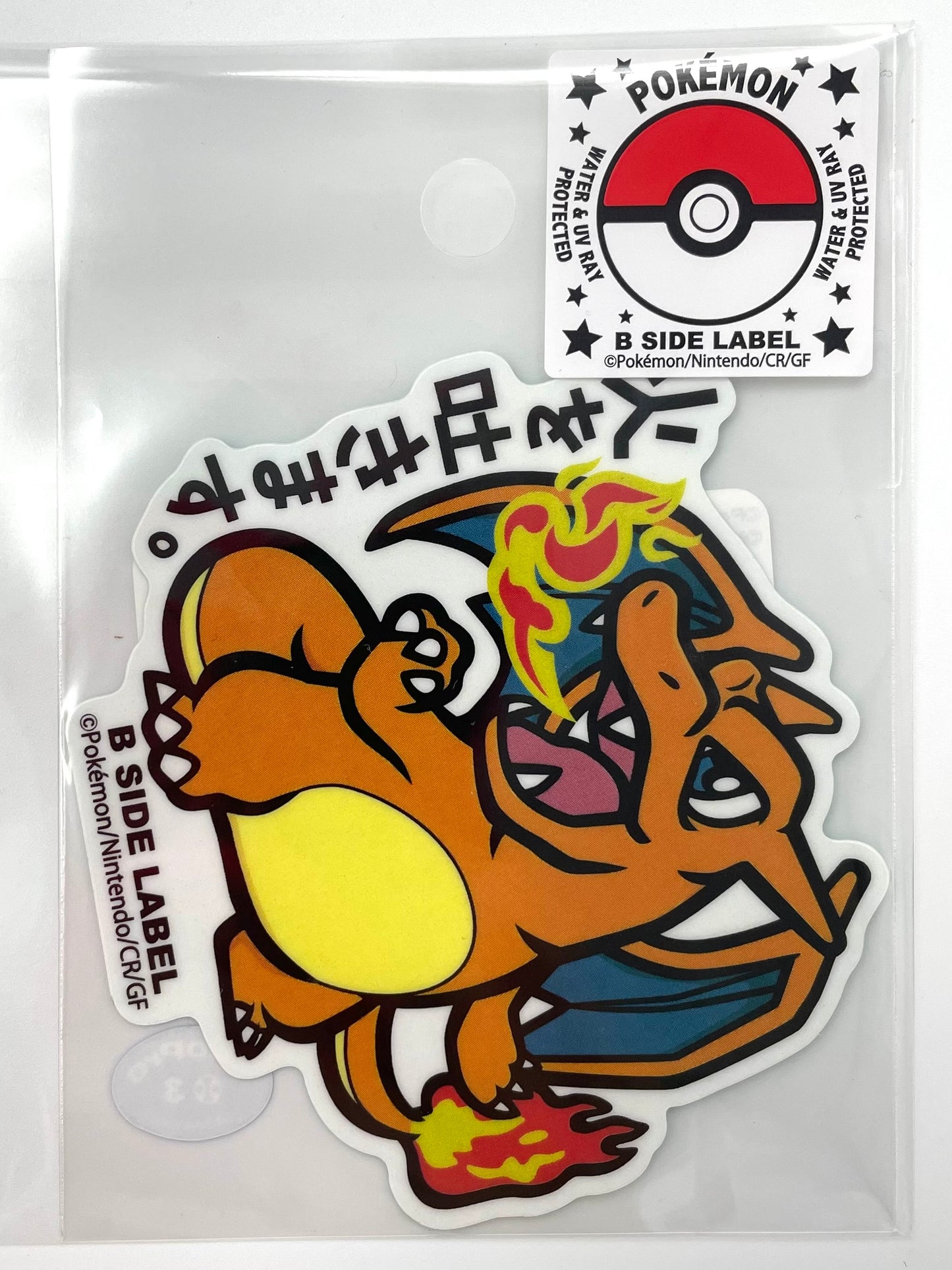 Pokémon Items
