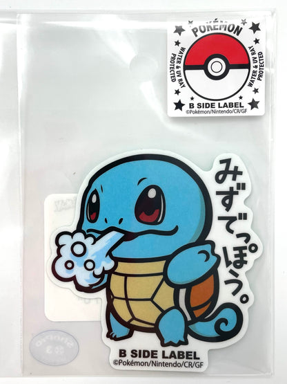 Pokémon Items