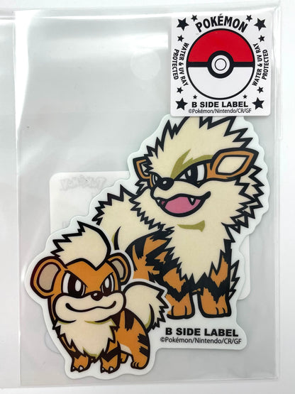 Pokémon Items