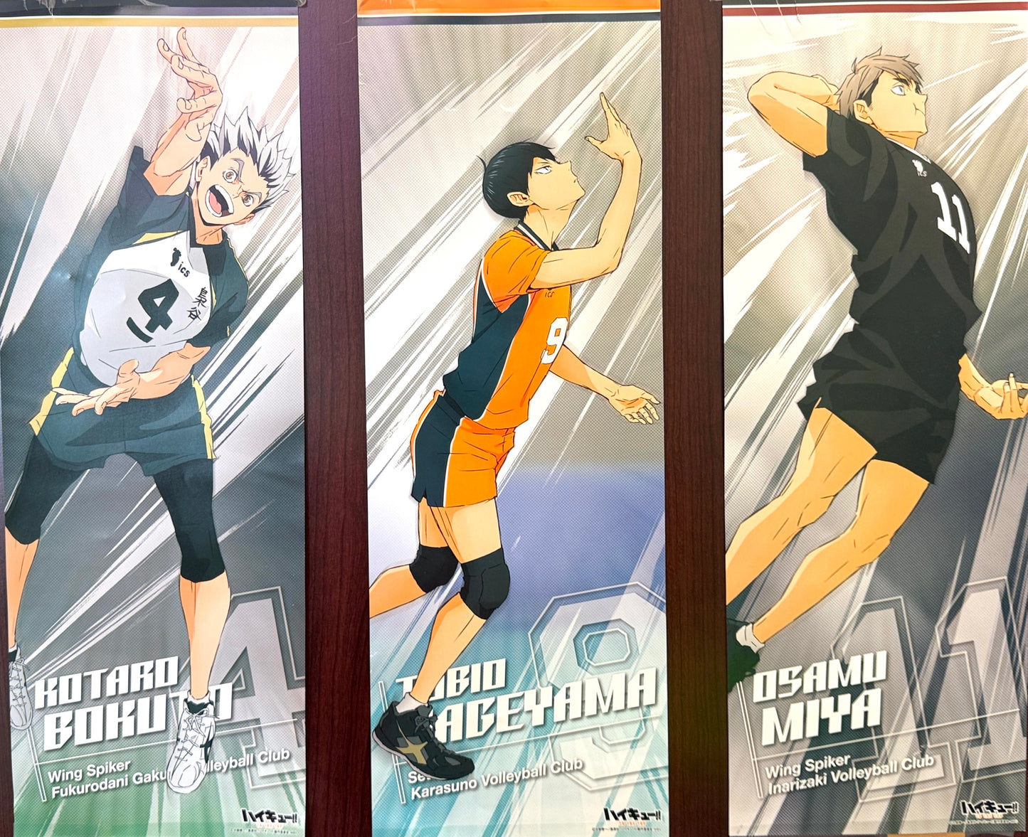 Defected Item Haikyu! Poster