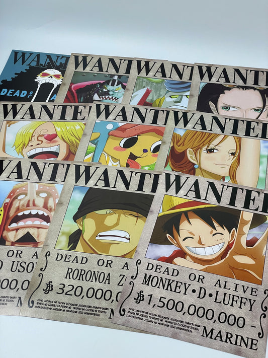ONE PIECE Wanted Poster