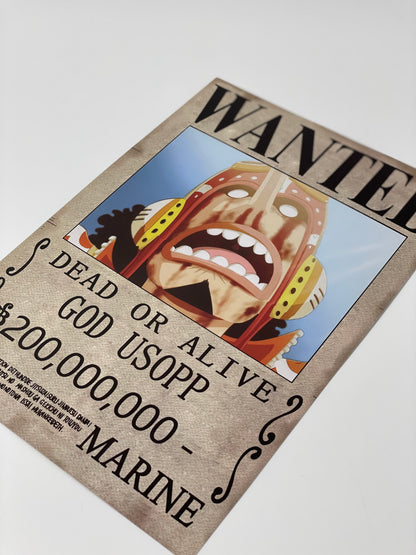 ONE PIECE Wanted Poster