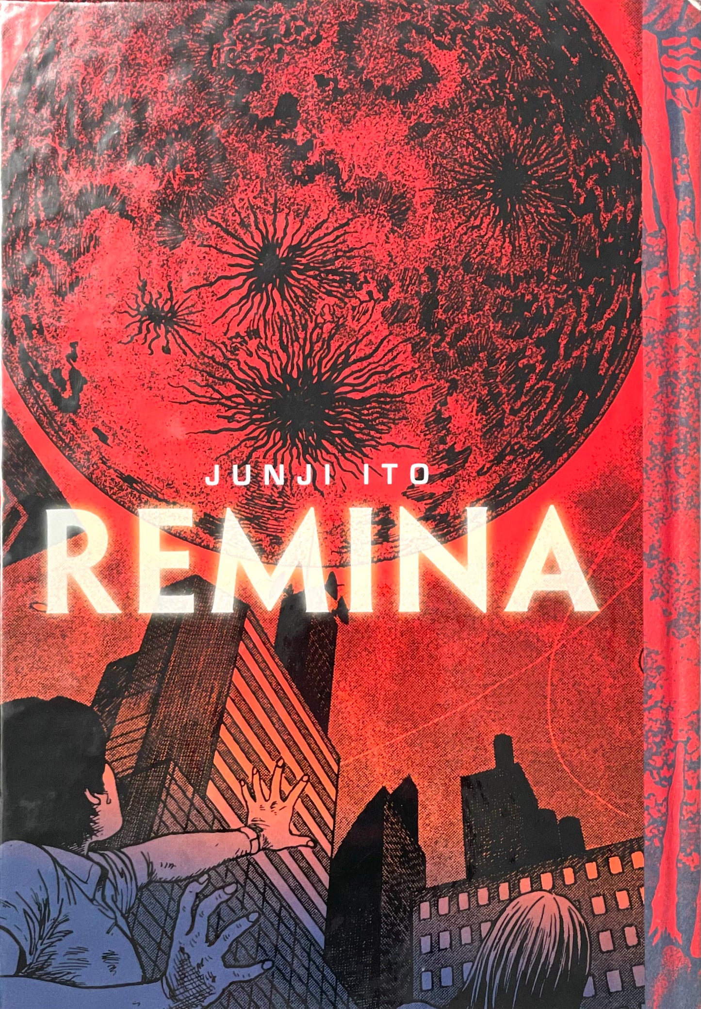 REMINA-English Edition