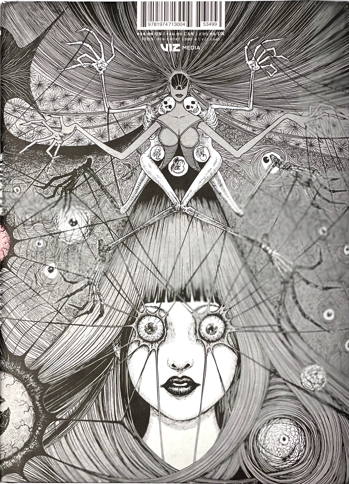 Twisted Vision-English Edition