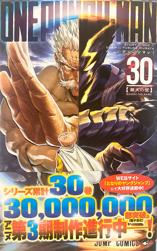 One Punch Man Vol.30_NEW-Official Japanese Edition